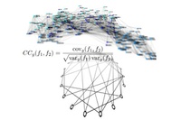 Understanding complex relationships