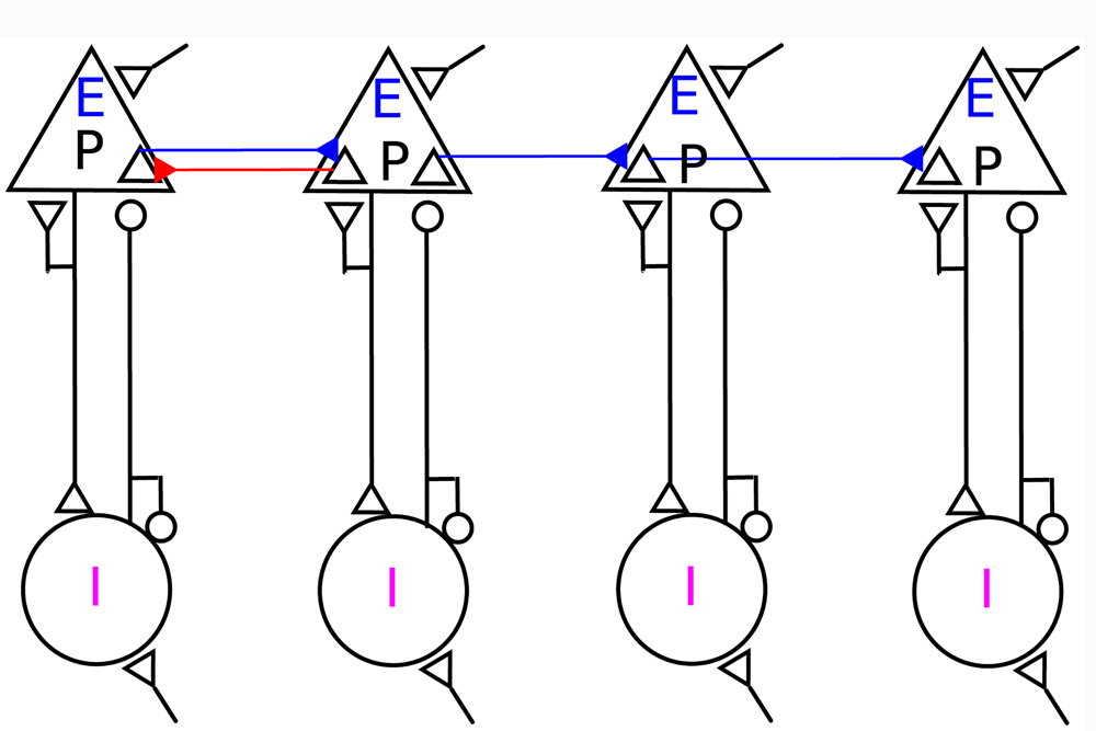 Loop, Resonate, and Accelerate!