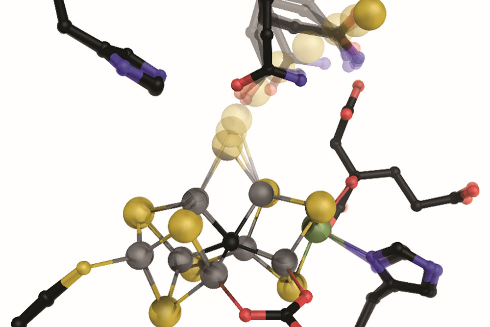 Der Nitrogenase auf der Spur