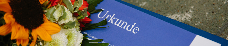 Urkunde_Sandra Meyndt_755x155_2.jpg